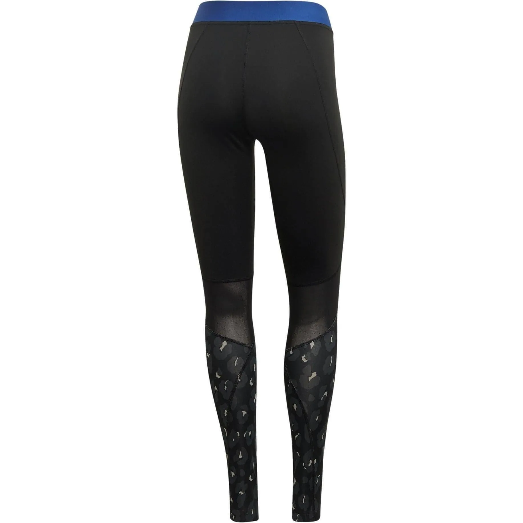 adidas AlphaSkin Iteration Womens Long Training Tights - Black