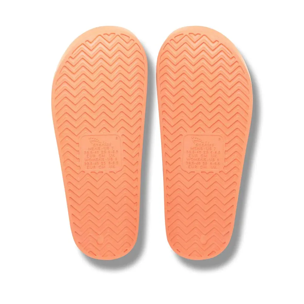 Arch Support Slides